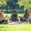 UCAS & Apprenticeships Online Session